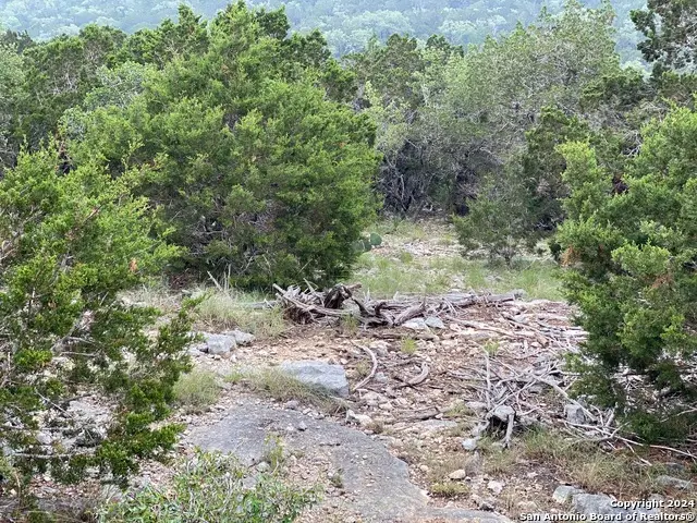 3726 Morris Lynn, San Antonio, TX 78261 - #2