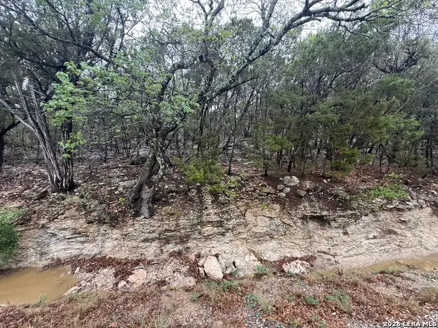 1050 Rotherman, Canyon Lake, TX 78133 - #3