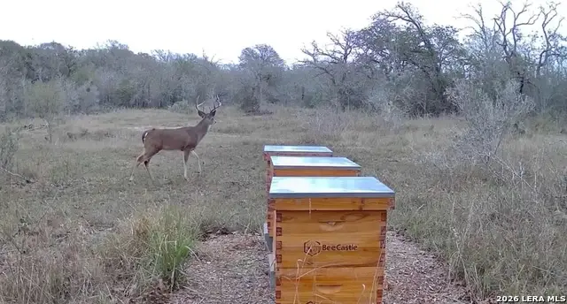 000 Cr 301, Gonzales, TX 78629 - #3