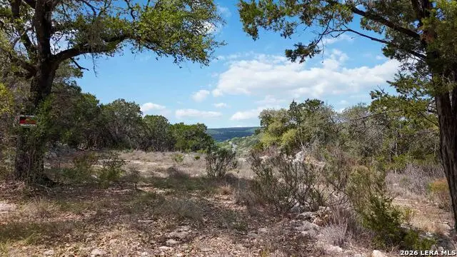 3980 Summit Hurst Dr, New Braunfels, TX 78132 - #2