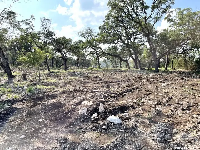 1310 Cutler, New Braunfels, TX 78132 - #2