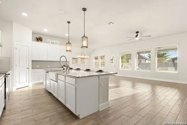 395 Borchers, New Braunfels, TX 78132 - #3