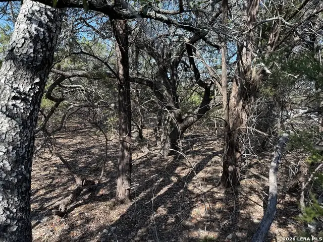 1252 Lake Bluff, Canyon Lake, TX 78133 - #3