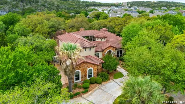 17703 Wild Basin, San Antonio, TX 78258