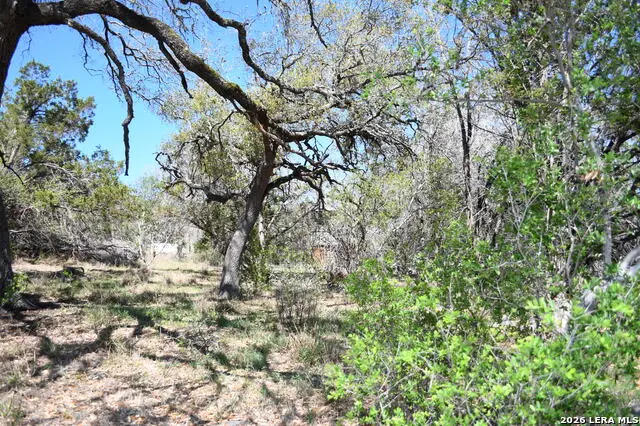 1361 Hidden Valley, Spring Branch, TX 78070 - #1
