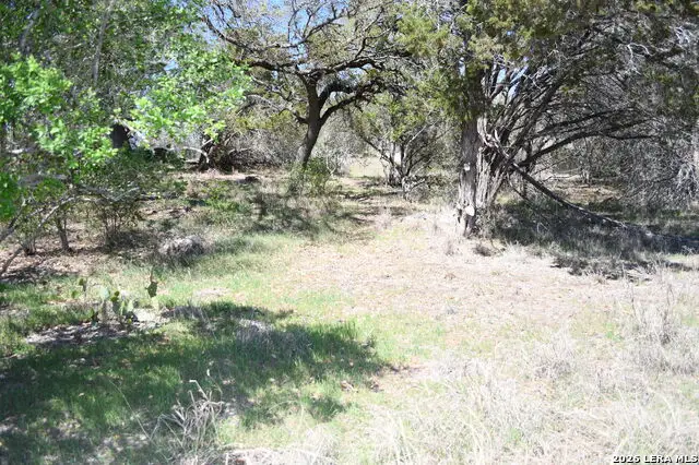 1361 Hidden Valley, Spring Branch, TX 78070 - #3