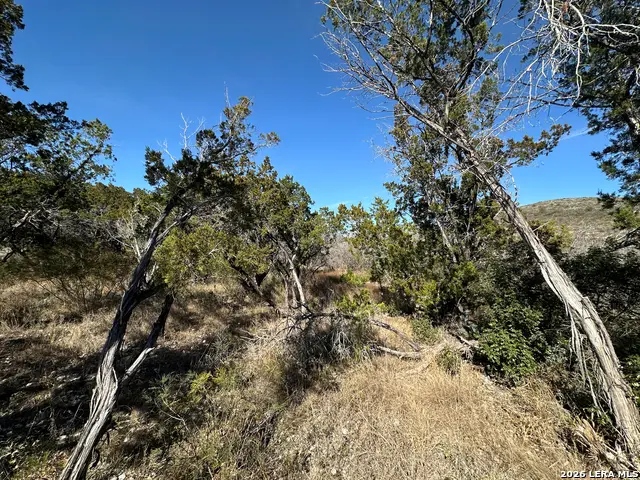 17130 Highway 127, Sabinal, TX 78881 - #3