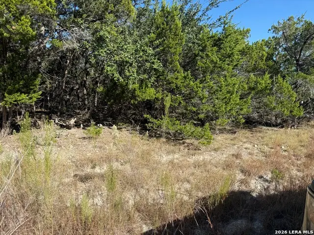 LOT 37 Golf Course Dr. E, Spring Branch, TX 78070 - #1