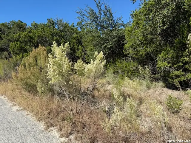 LOT 37 Golf Course Dr. E, Spring Branch, TX 78070 - #2