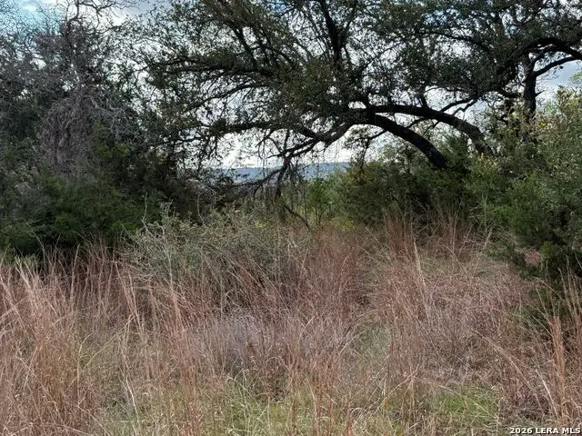 L28 Lipan Apache Run, Blanco, TX 78606 - #1