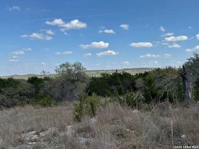 L28 Lipan Apache Run, Blanco, TX 78606 - #2
