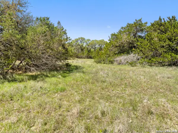 1510 Misty Lane, Spring Branch, TX 78070