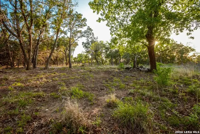 827 Thanksgiving, Utopia, TX 78884 - #2