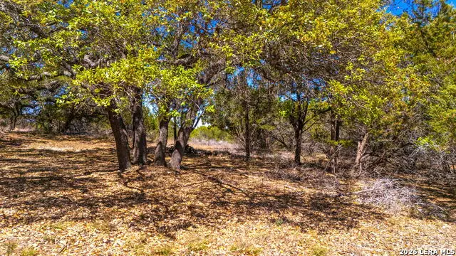 360 Palomino Springs, Bandera, TX 78003 - #2