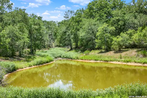 01 Whitetail Dr, Cedar Creek, TX 78612