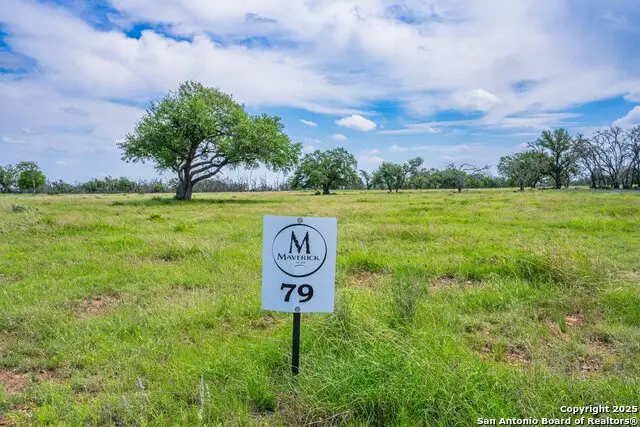 LOT 79 Stock Pond Dr, Harper, TX 78631 - #2