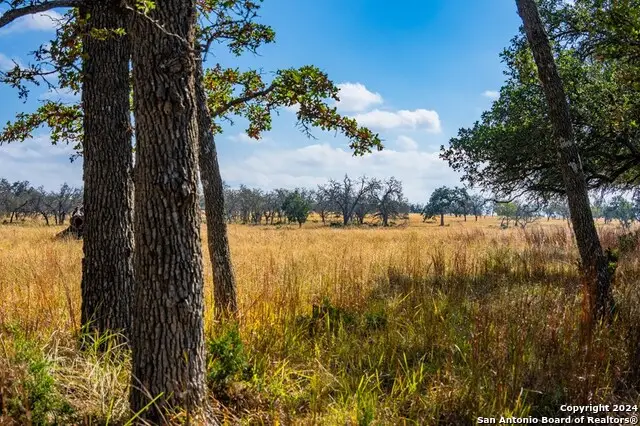 LOT 12 Turn Out Lane, Harper, TX 78631 - #1