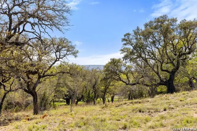 19 Stone Ridge Mountain Dr, Round Mountain, TX 78663 - #1