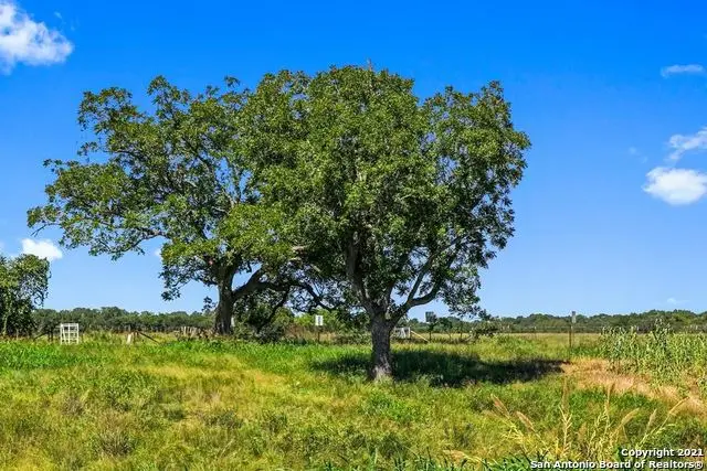 440 Chimney Valley Dr, Blanco, TX 78606 - #2