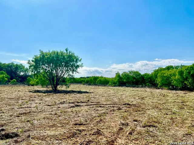 5967 Granato Rd, Poteet, TX 78065 - #3