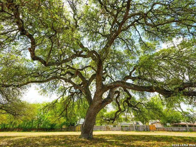 137 Kitty Hawk, Universal City, TX 78148 - #3