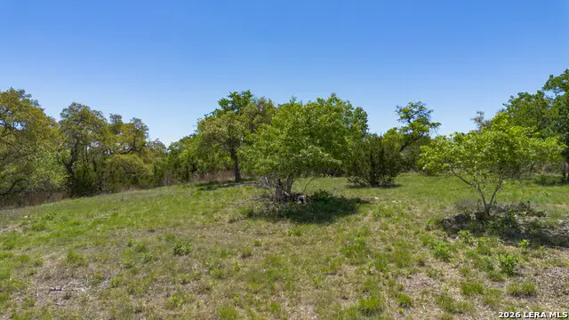2089 Sanctuary Ln, Blanco, TX 78606 - #3