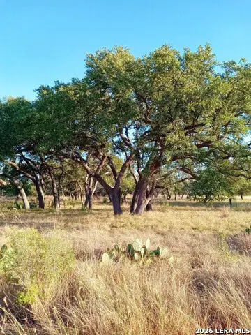 LOT 142 Mulder Dr, Center Point, TX 78010 - #1