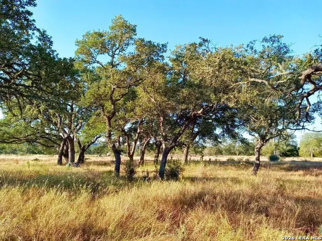 LOT 142 Mulder Dr, Center Point, TX 78010 - #2
