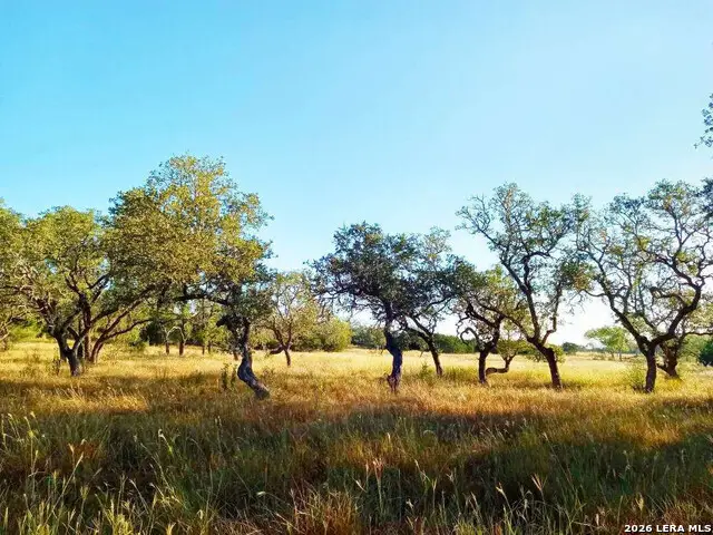 LOT 142 Mulder Dr, Center Point, TX 78010 - #3