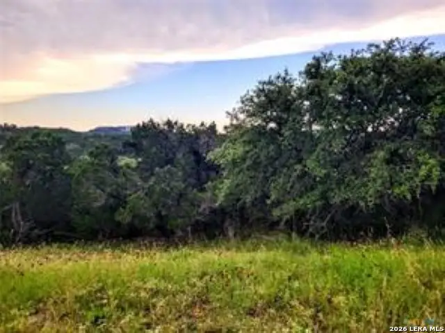 628 Angelica Vista, Canyon Lake, TX 78133 - #3