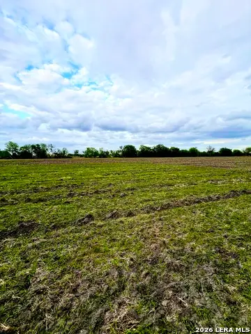 3171 Lower Seguin, Marion, TX 78124 - #1