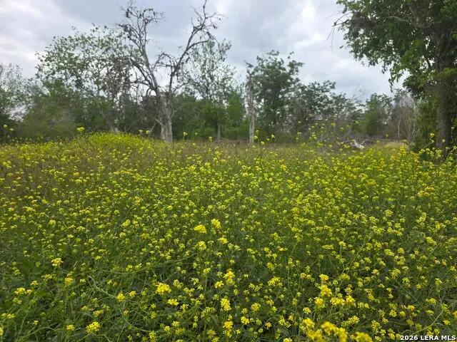 2324 E Chavaneaux, San Antonio, TX 78214 - #1