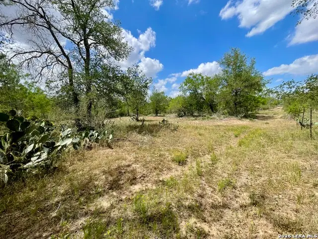 2566 Fm 539, La Vernia, TX 78121 - #1
