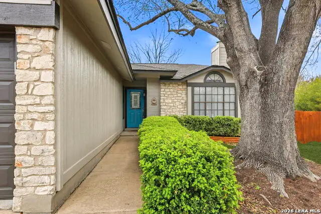 1603 Cattle Cv, Austin, TX 78748 - #3