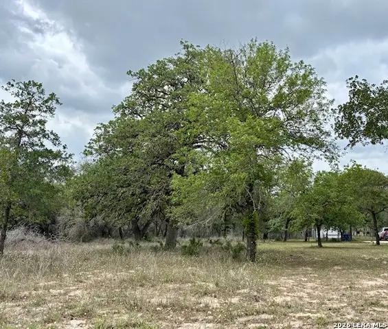 472 Rose Blossom Loop, La Vernia, TX 78121 - #2