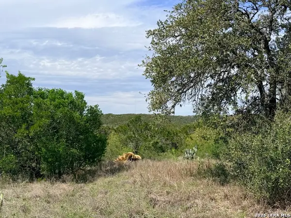 686 County Road 2700, Mico, TX 78056