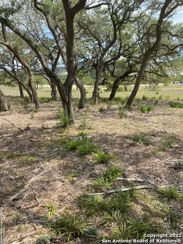 24510 Paraiso Ridge, San Antonio, TX 78255 - #3