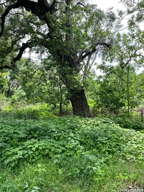 12760 Bernhardt Rd, San Antonio, TX 78263 - #1