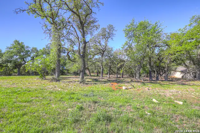 1215 Trailhead, New Braunfels, TX 78132 - #2