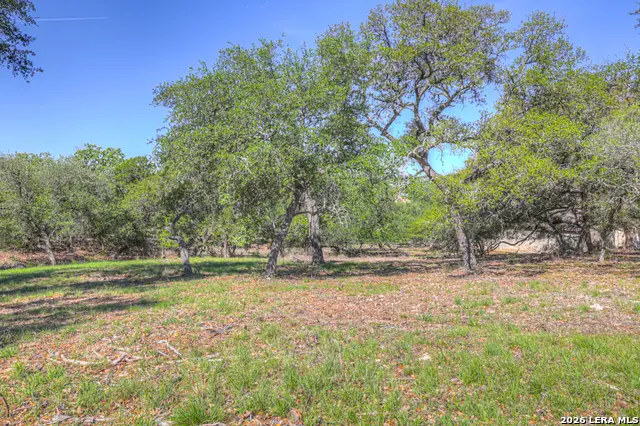 1215 Trailhead, New Braunfels, TX 78132 - #3