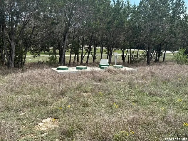 523 Stars And Stripes, Fischer, TX 78623 - #3