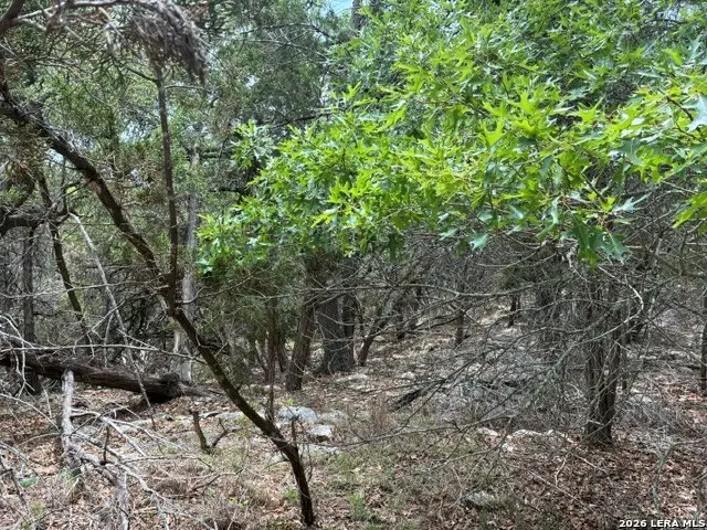 1268 Overbrook Lane, Spring Branch, TX 78070 - #2