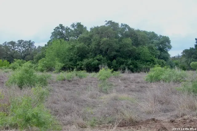 000 Cr 341, Hondo, TX 78861 - #2