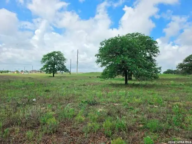 1866 County Road 319, La Vernia, TX 78121 - #2
