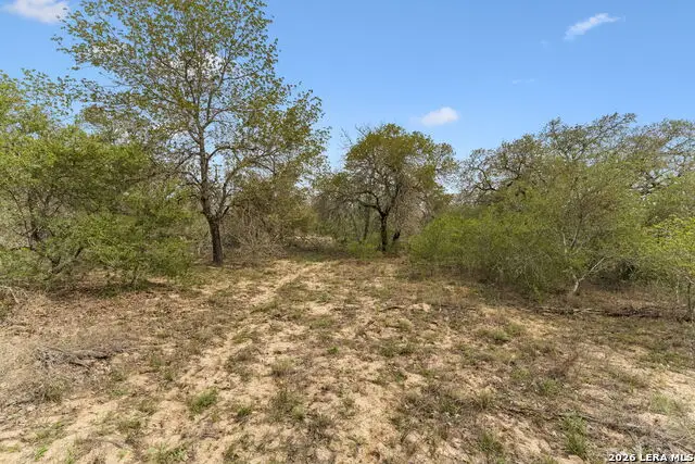 174 Adcock Lane, Somerset, TX 78069 - #3