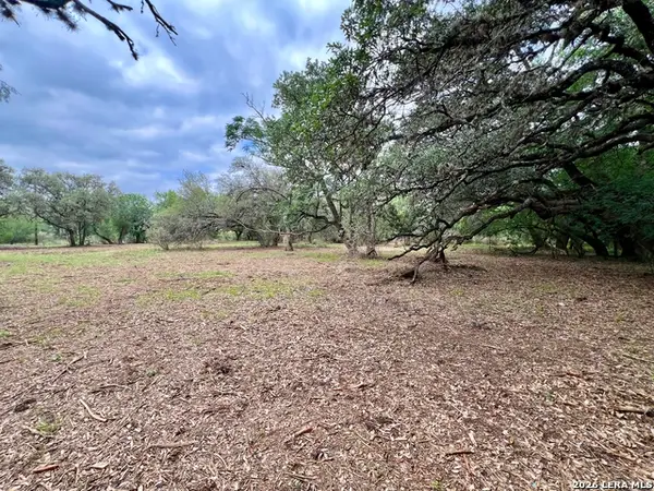 0 Low Bid Ln, San Antonio, TX 78250