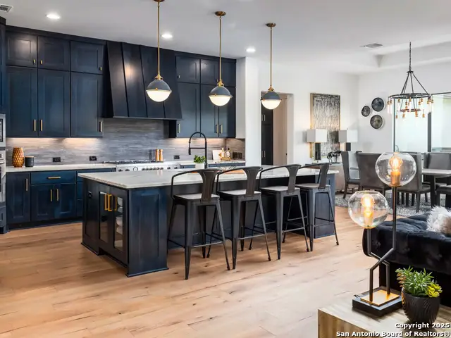 1217 Rio Central Dr, Spring Branch, TX 78070 - #3