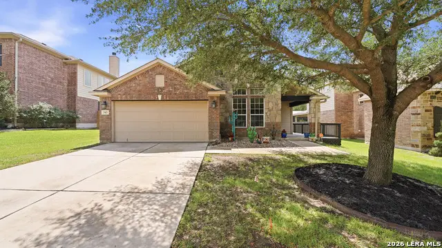 343 Cylamen, New Braunfels, TX 78132 - #3