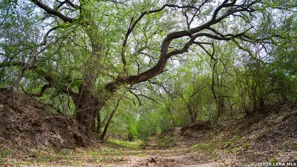 1251 County Road 210, Floresville, TX 78114