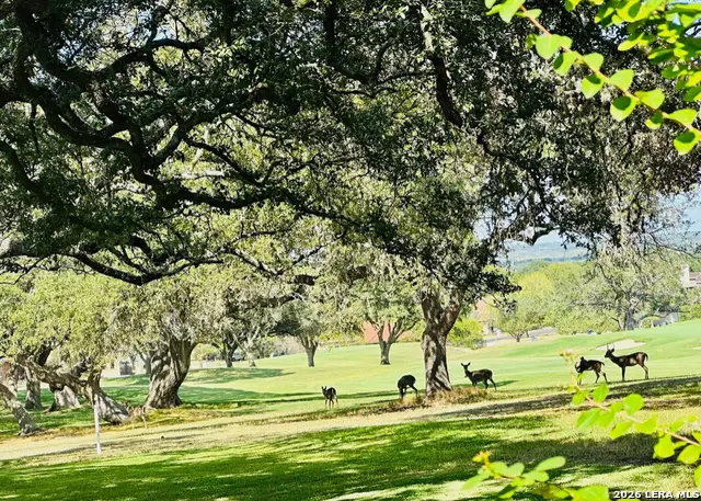 29342 Ridgeview, Boerne, TX 78015 - #2